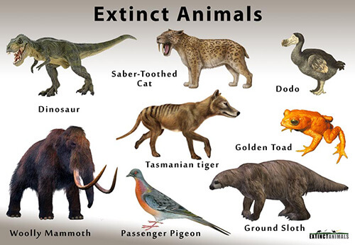 future animals on earth